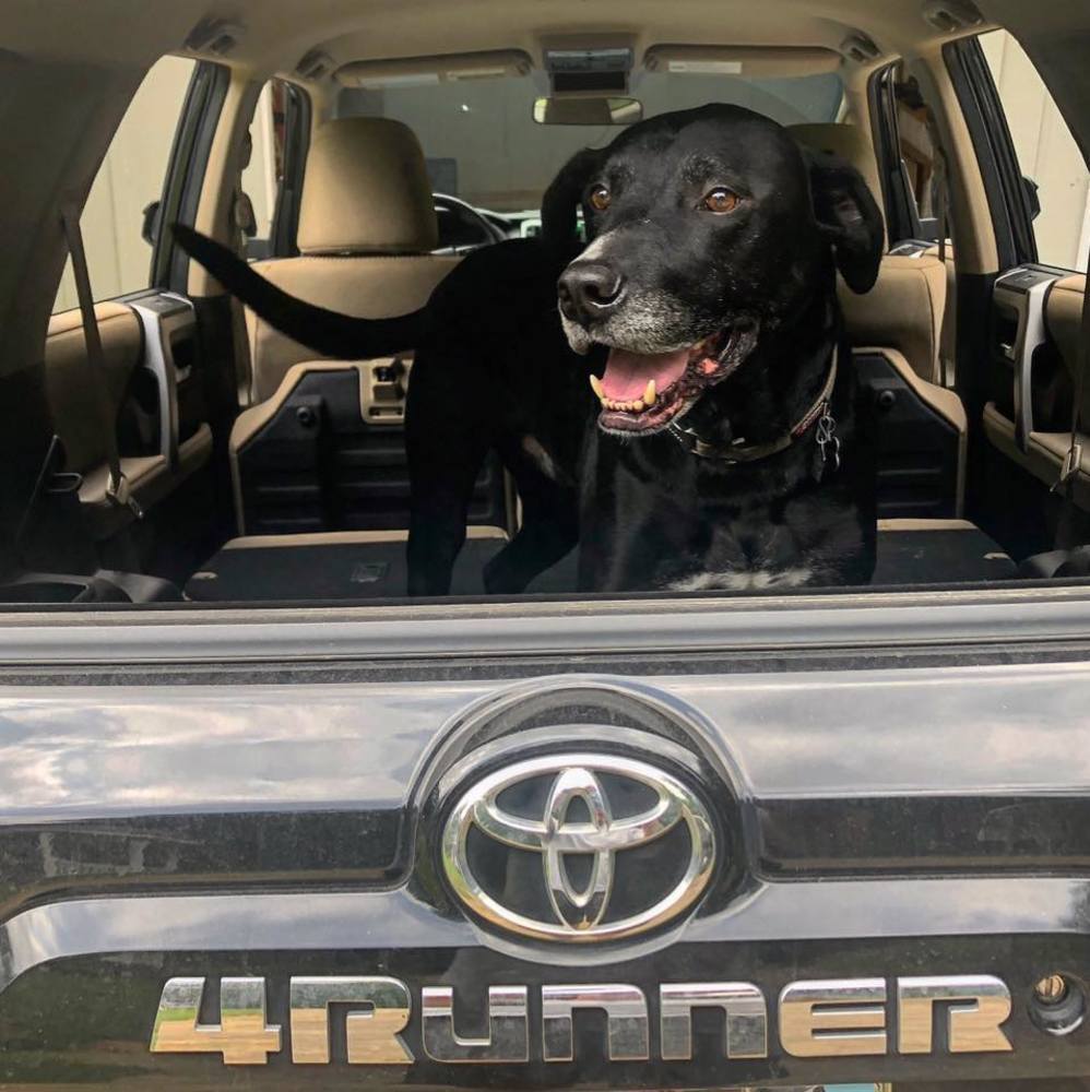 Meet your Posher, Josh